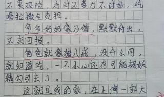 回家的路上作文 回家的路上作文